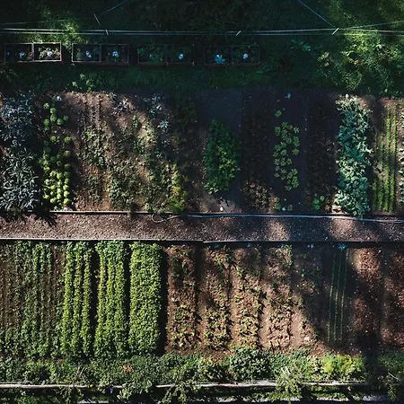 Grandhotel Giessbach