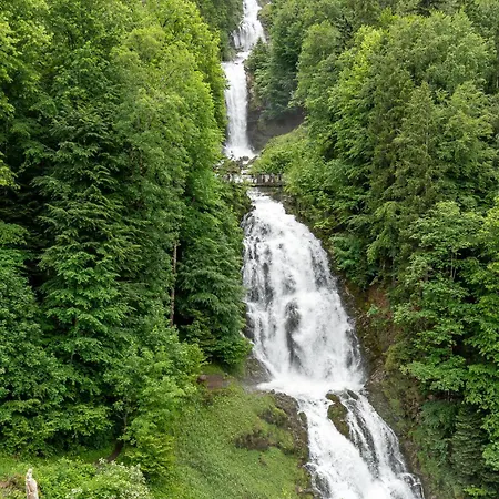 Отель Grandhotel Giessbach 4*