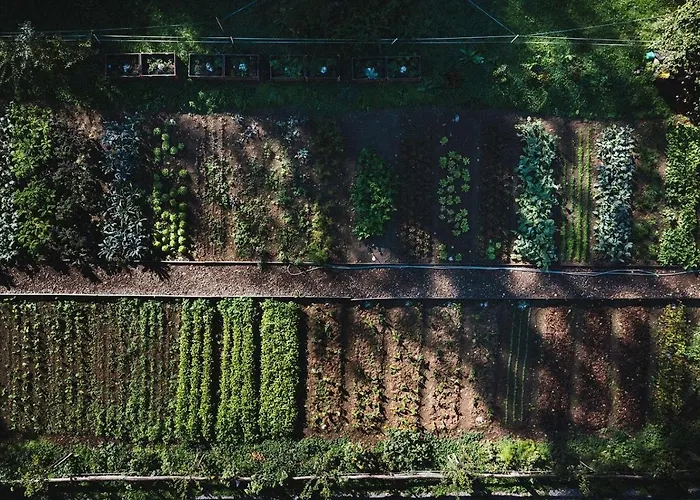 Grandhotel Giessbach