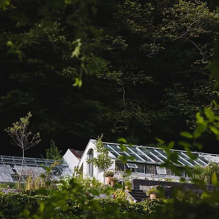 酒店 吉特霸赫酒店 4*
